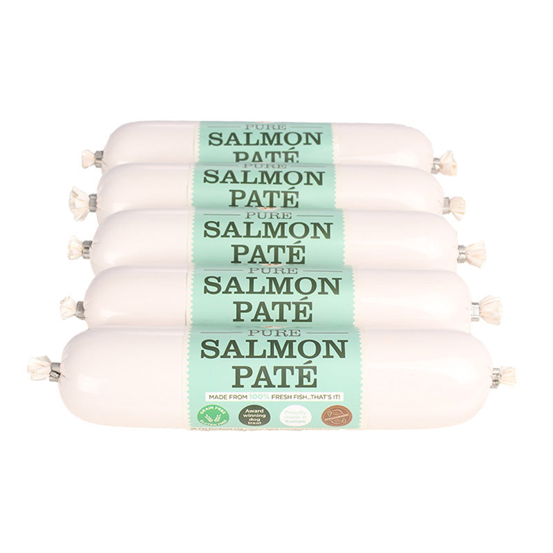 JR Pure Salmon Pate for Dogs - 200g