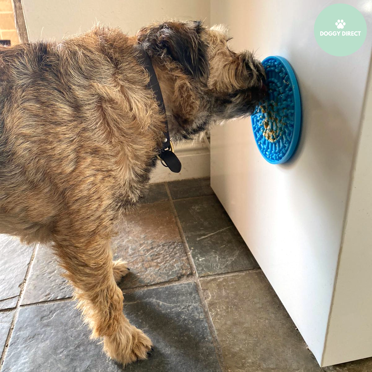 Dog sales licking pad